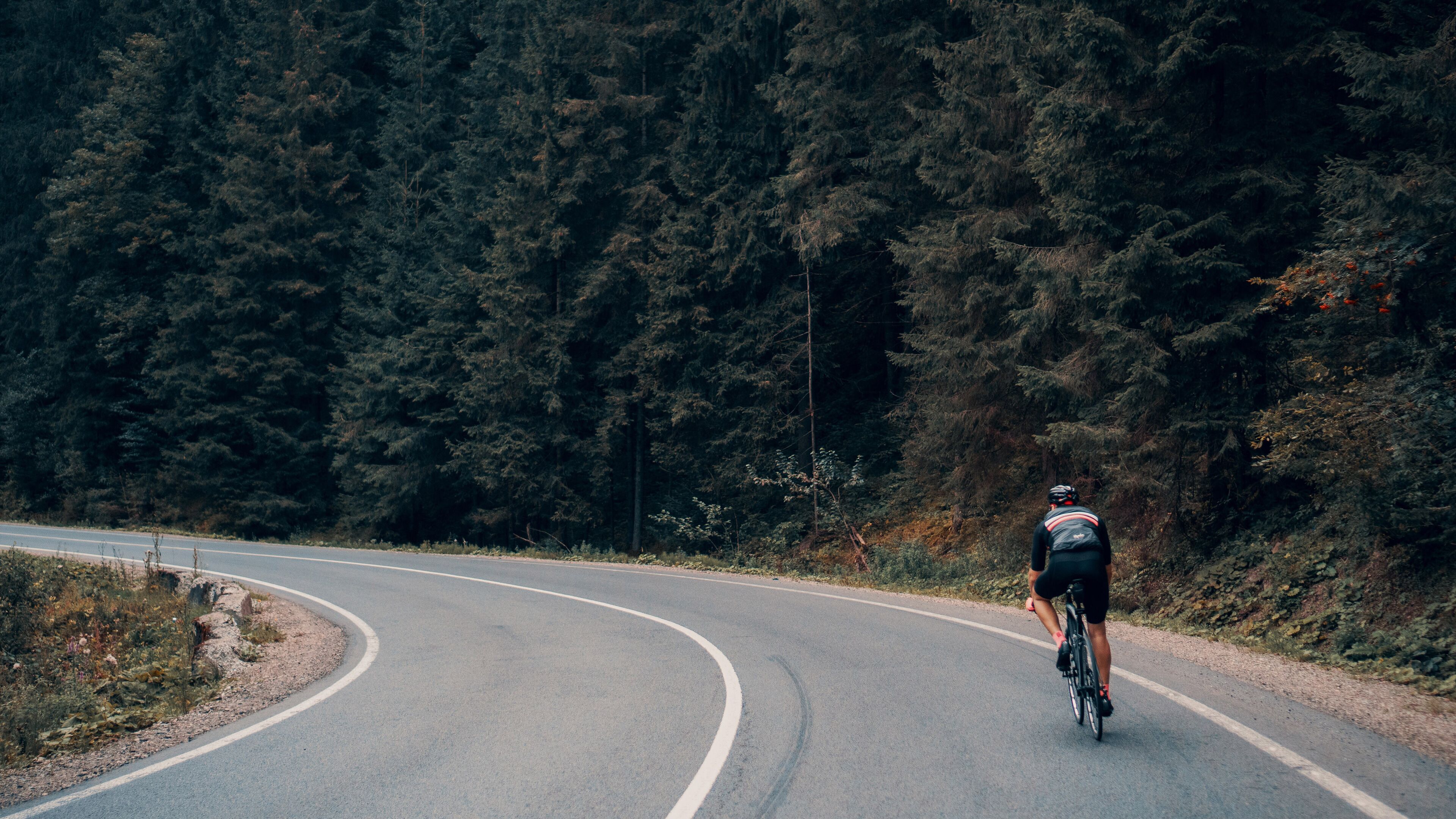 A cyclist on a winding road surrounded by dense forest.