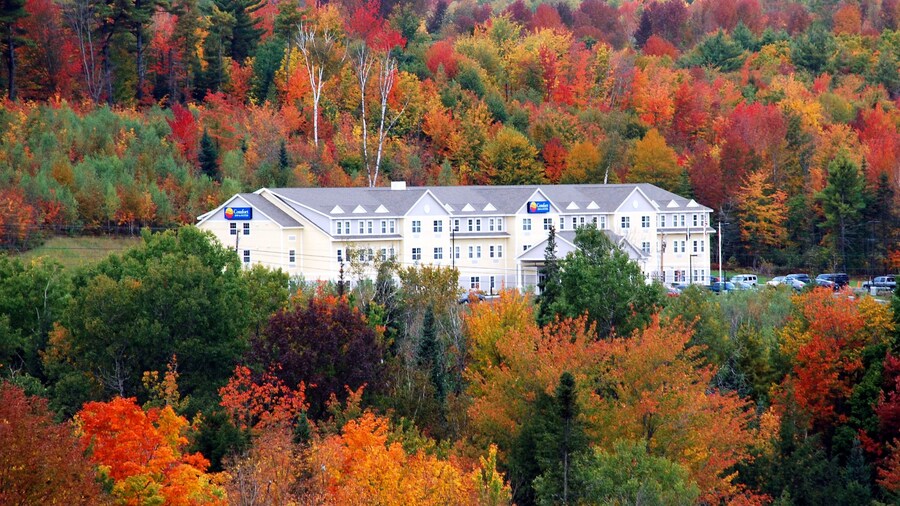 Comfort Inn & Suites Wilton