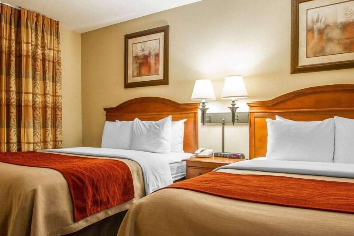 Une chambre d’hôtel avec deux lits, une table de chevet avec une lampe, un téléphone et un tableau encadré au mur.