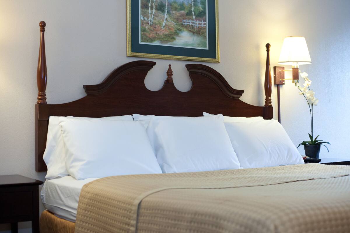 A neatly made bed with white linens and a wooden headboard, a framed picture on the wall, a bedside lamp, and a potted plant.