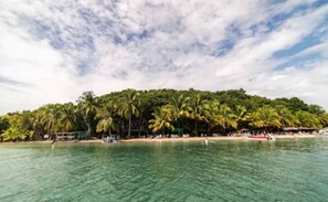 Ecotours - Playa Tortuga Hotel Beach And Resort (Bocas del Toro)