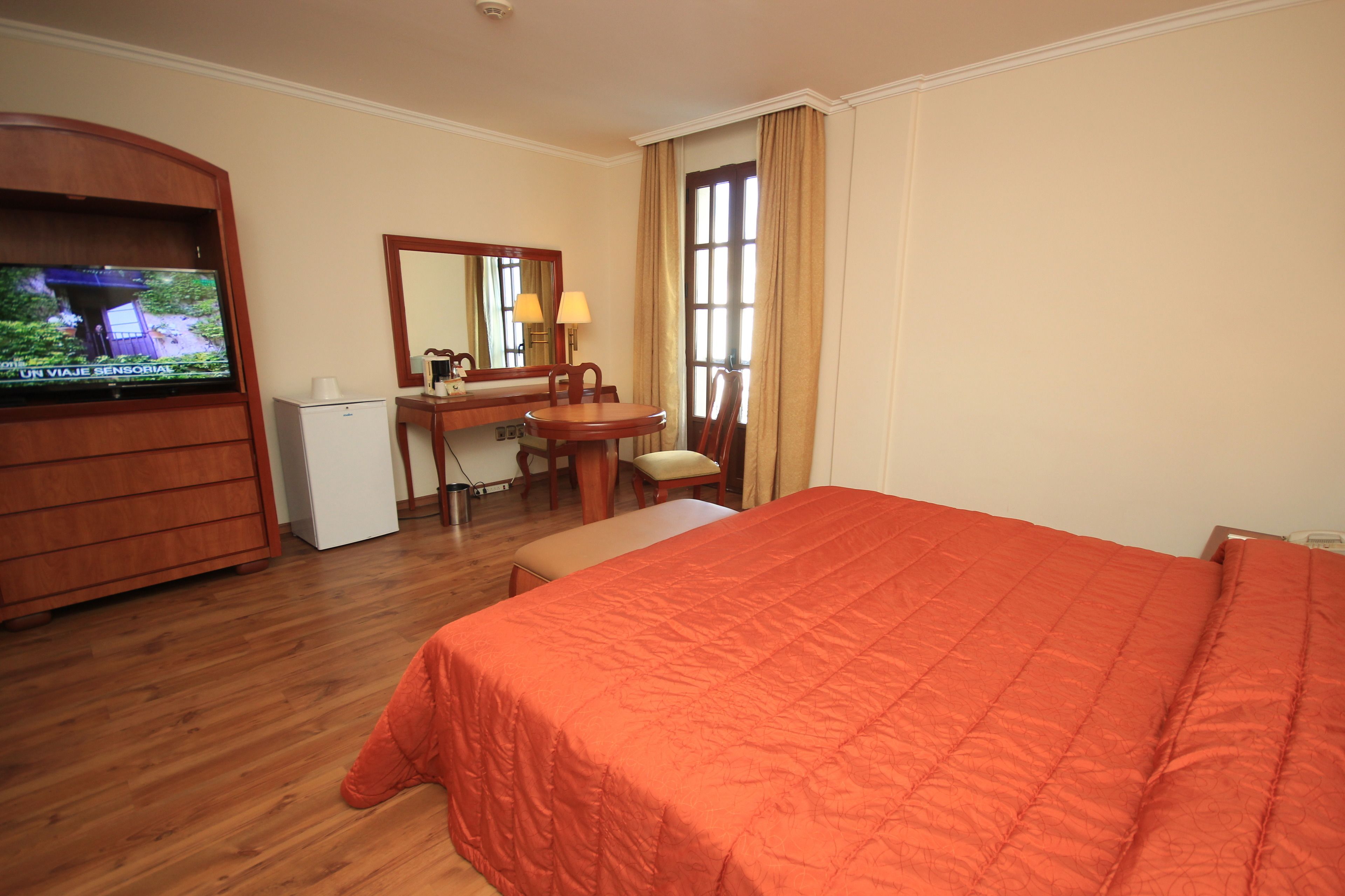 Habitación de hotel con cama, escritorio, silla, televisor y espejo.