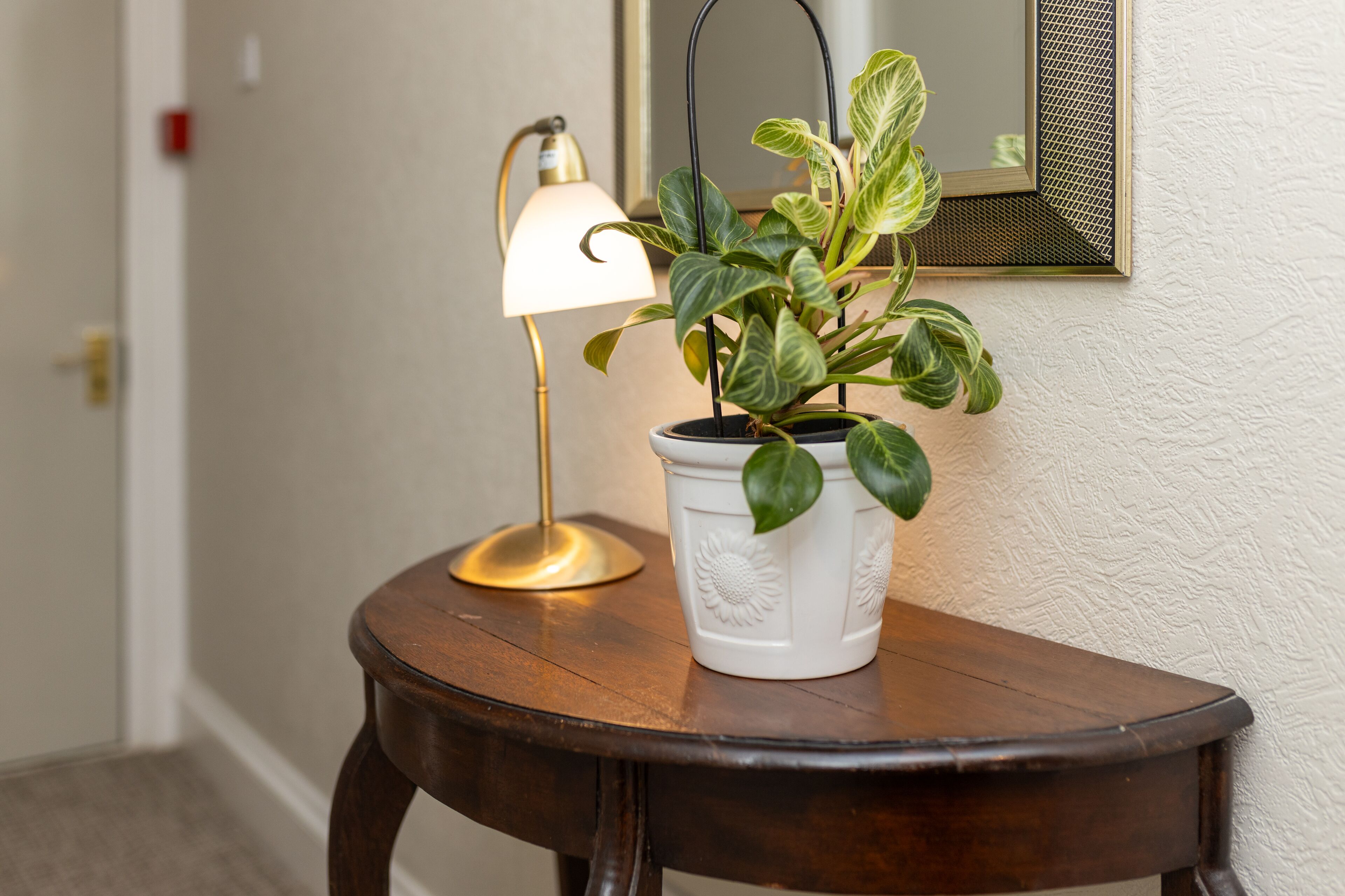En potteplante på et træbord med en lampe ved siden af.