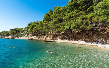 A beach with clear turquoise water, people swimming and sunbathing, and a rocky cliff with pine trees.