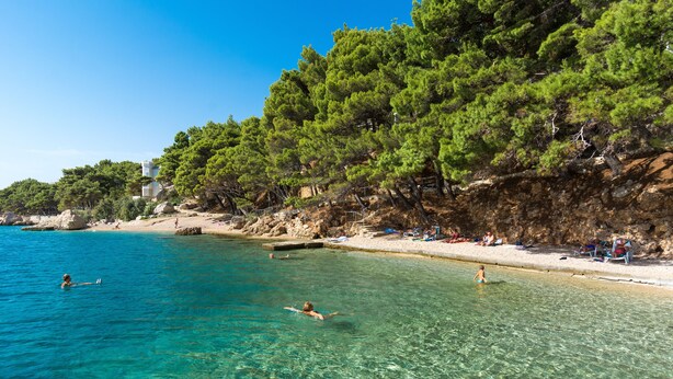 A beach with clear turquoise water, people swimming and sunbathing, and a rocky cliff with pine trees. - Sagitta all inclusive holiday resort (Omis)