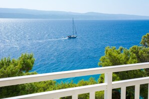 Uitzicht vanuit accommodatie