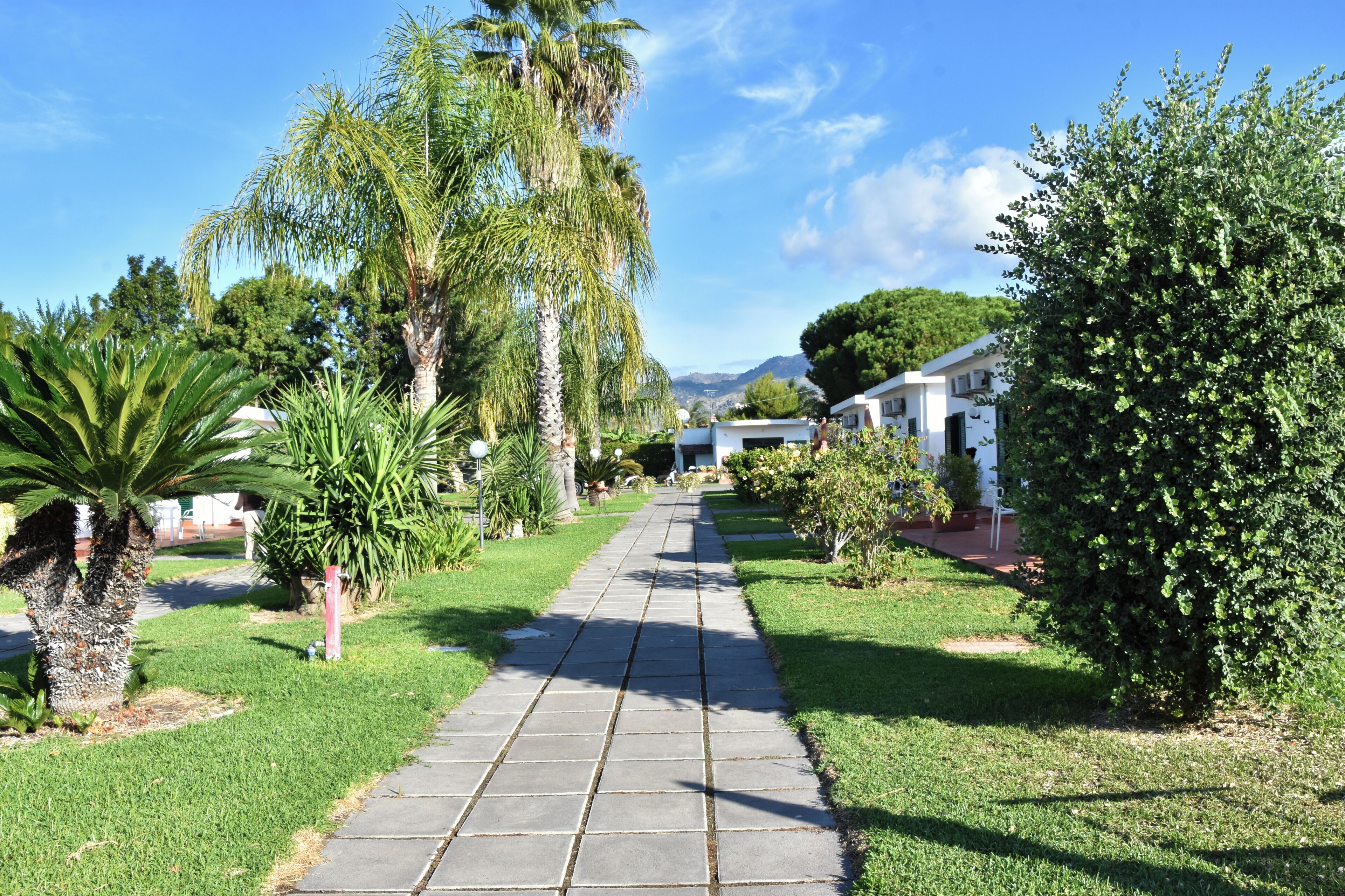A paved pathway leading to a row of white buildings with a clear sky above.