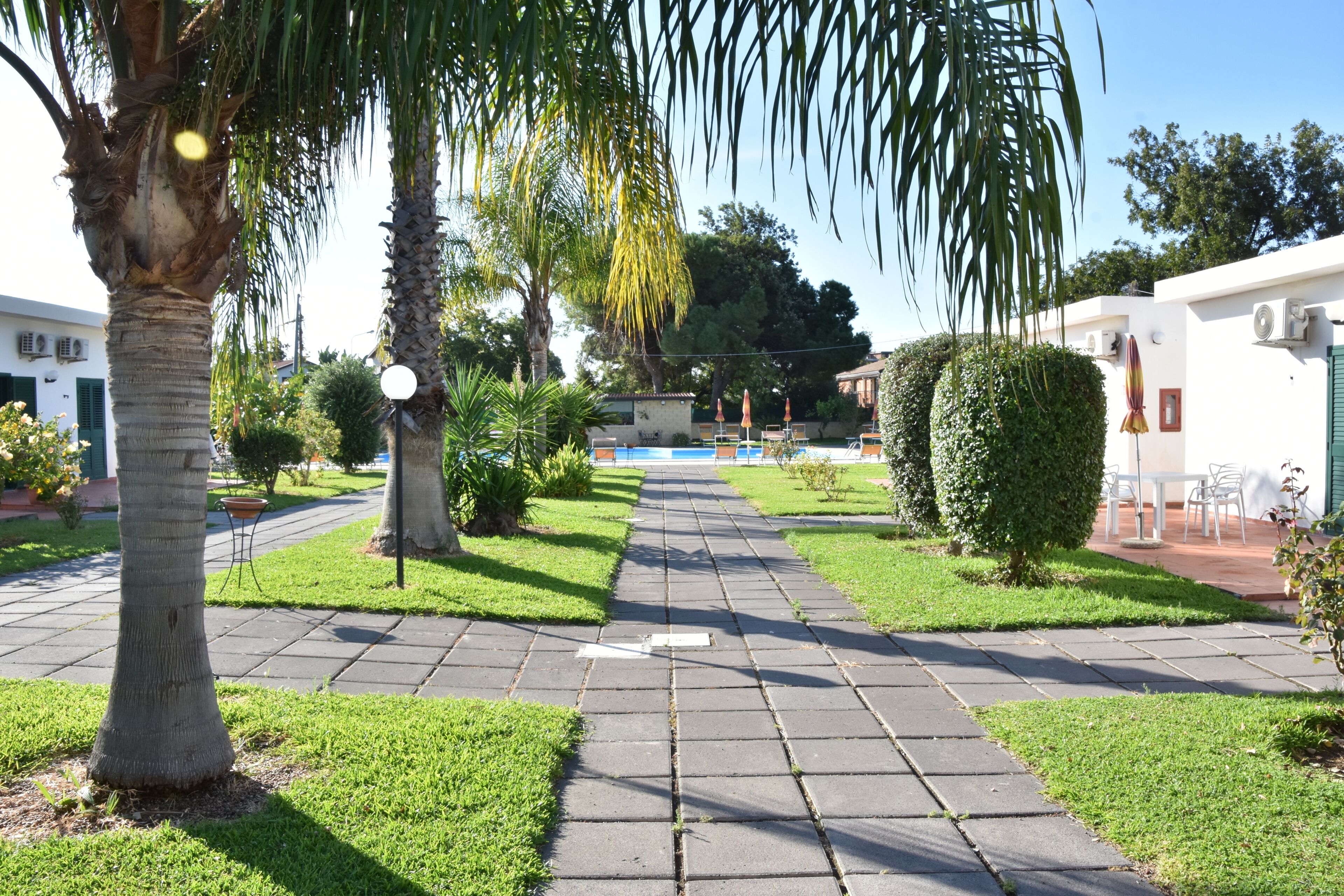 Un camino pavimentado que conduce a un área de piscina con palmeras y follaje.