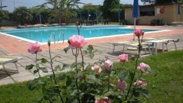 A swimming pool with pink flowers in the foreground, surrounded by palm trees and a building in the background. - Villaggio Artemide (Giardini Naxos)