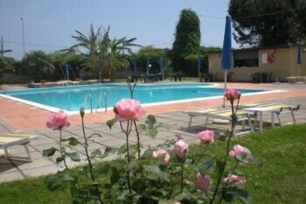 Seasonal outdoor pool, pool umbrellas, sun loungers