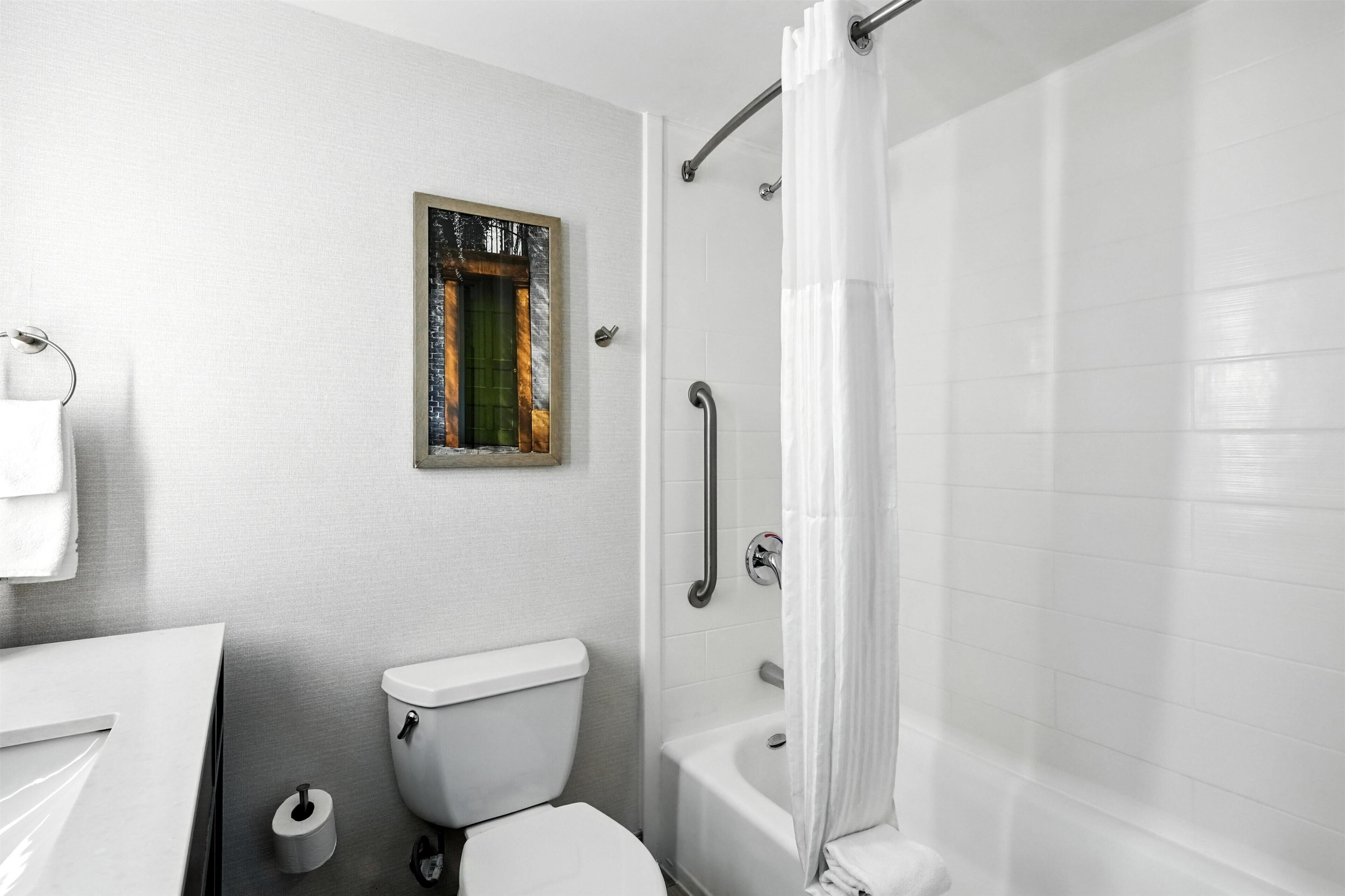 A bathroom with a toilet, a shower, a handrail, and a framed picture on the wall.
