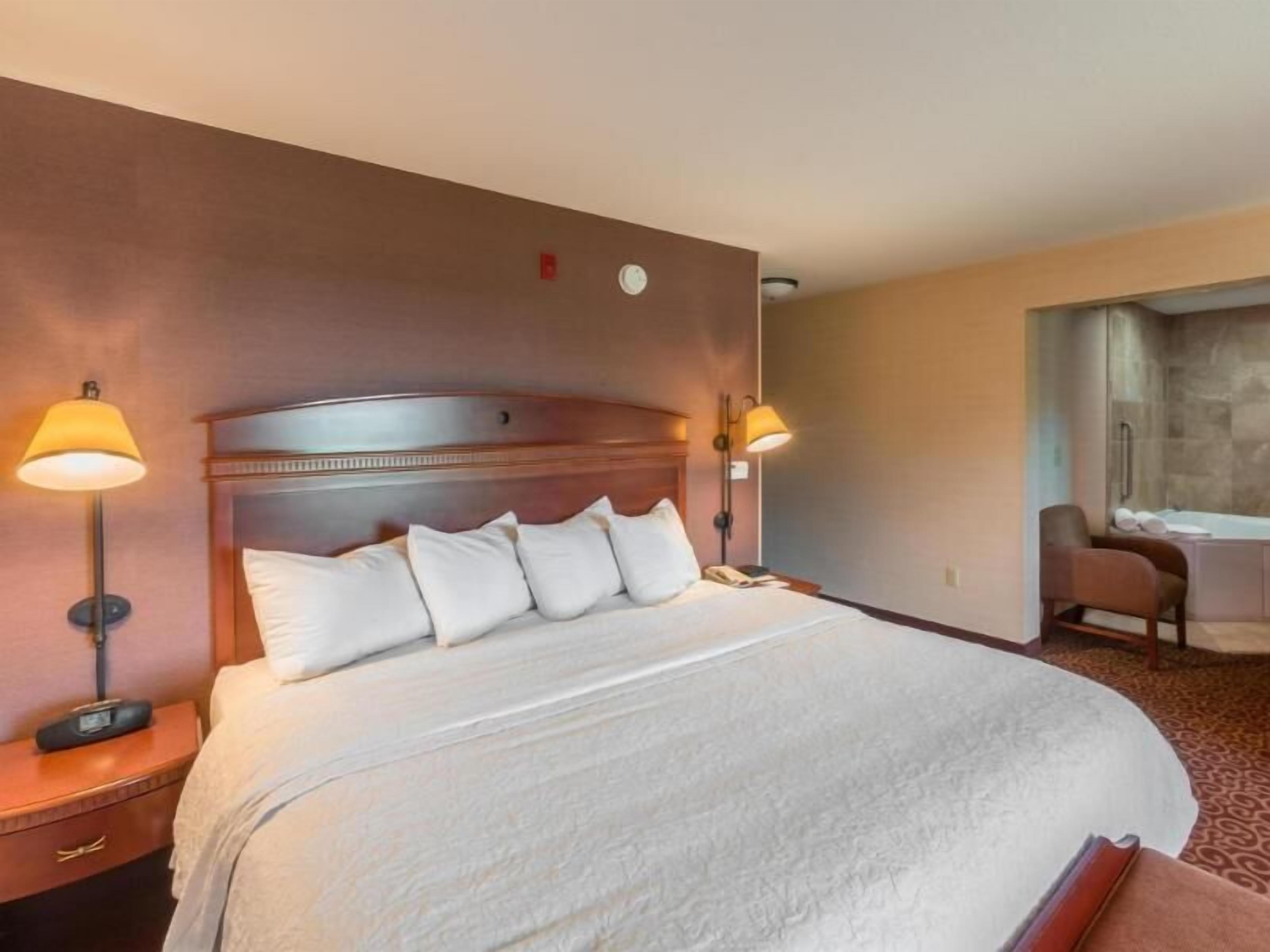 Hypo-allergenic bedding, in-room safe, iron/ironing board, free WiFi
