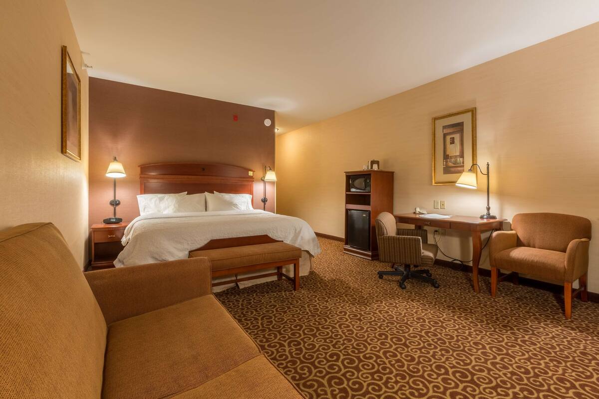 Habitación de hotel con cama, escritorio, sillón, sofá y piso alfombrado.