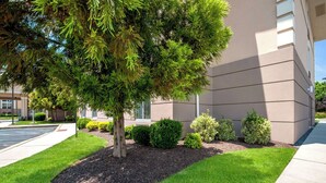 A building with a well-maintained lawn, a tree, and several shrubs. - Sleep Inn & Suites Dover University Area (Dover)