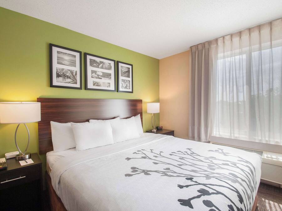 A hotel room with a large bed, two bedside tables with lamps, a nightstand, and a window with sheer curtains.