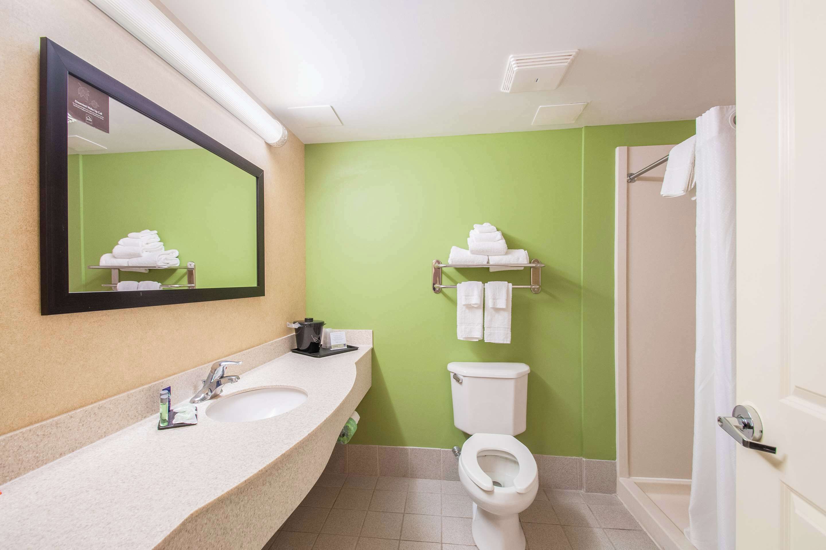 Un baño con pared verde, un lavabo con espejo, inodoro y zona de ducha.