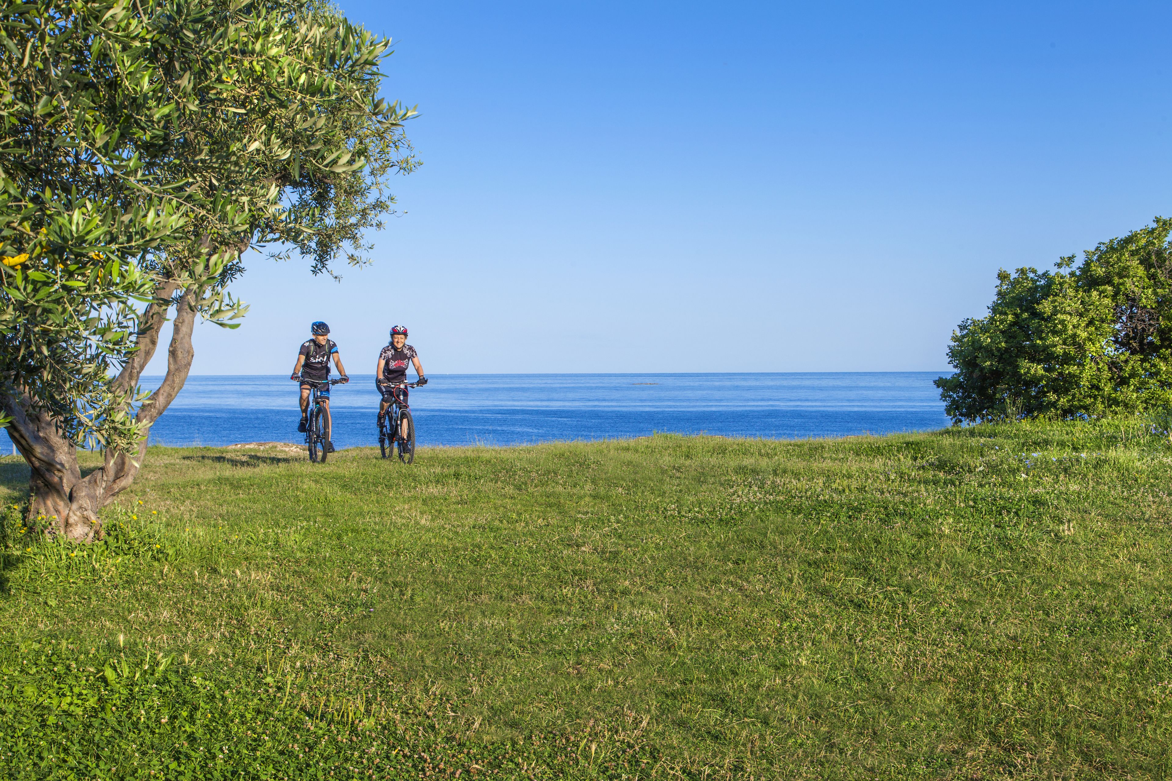 Deux cyclistes sur un sentier herbeux, avec vue sur la mer.