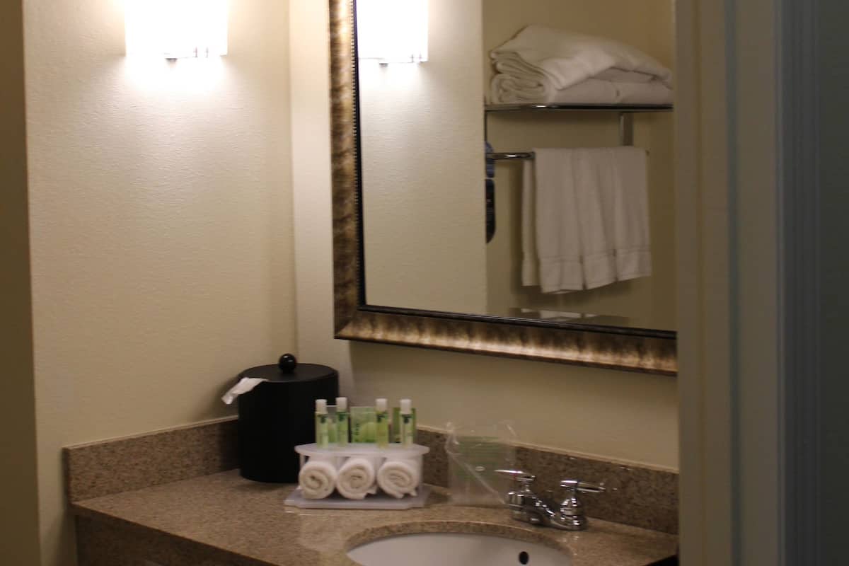 A hotel bathroom with a sink, mirror, towel rack, and toiletries.