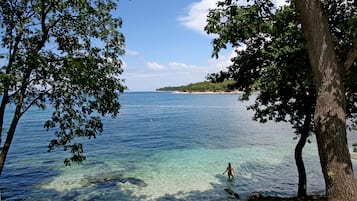 Una spiaggia tranquilla con alberi e acque calme.