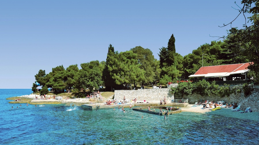 Apartments Bellevue Plava Laguna