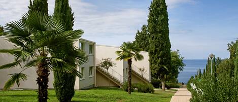 A pathway leading to a building with a view of the sea, surrounded by greenery and palm trees.