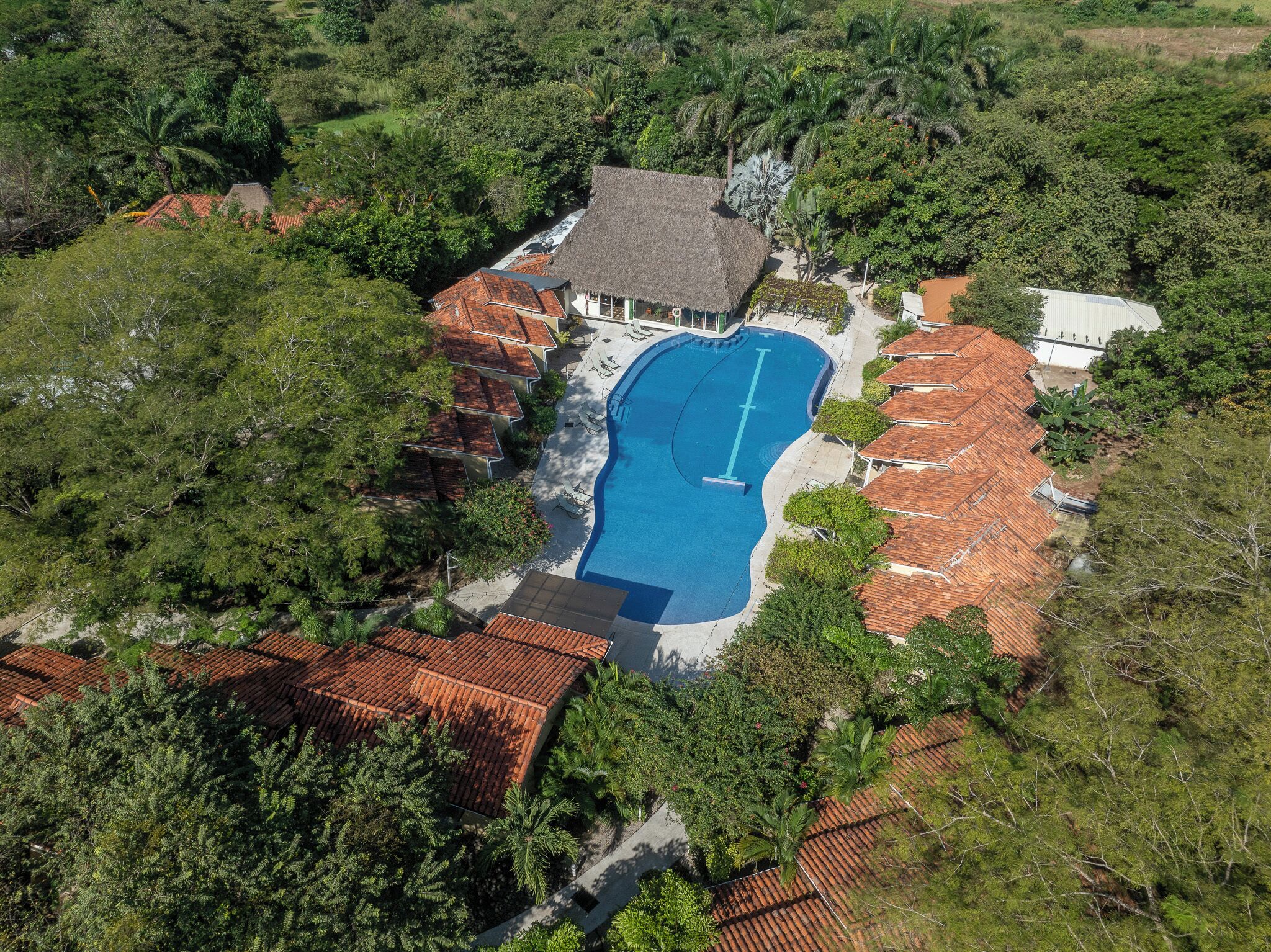 An aerial view of a property with a swimming pool, surrounded by lush greenery and red-tiled roofs.