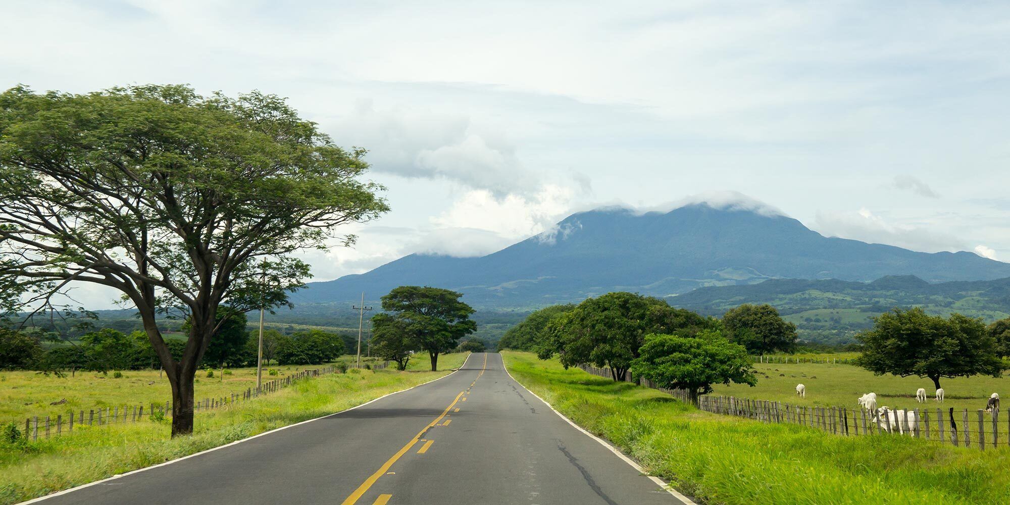 land view from property