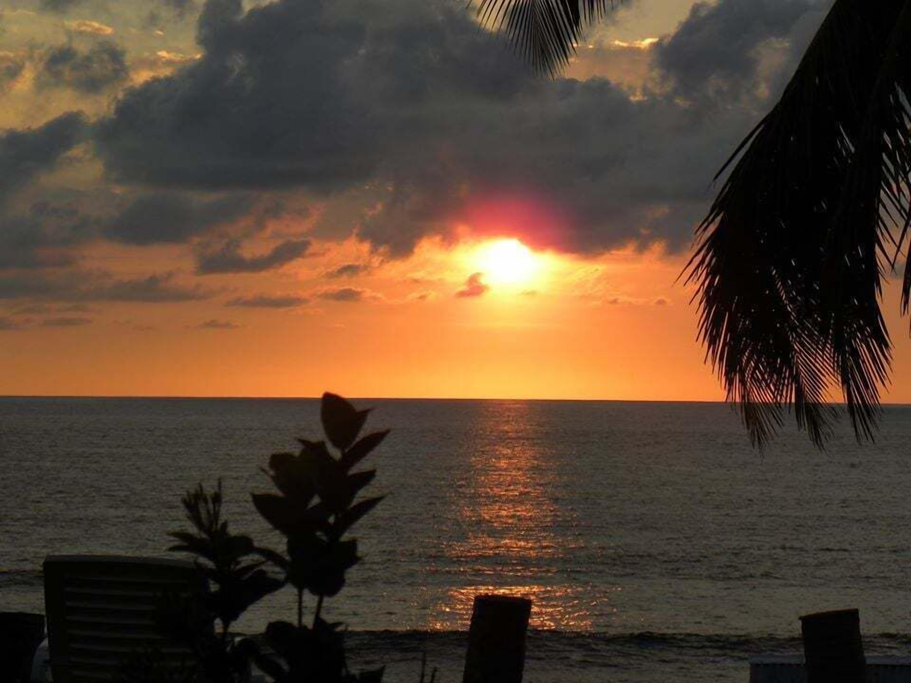 beach nearby, white sand, beach shuttle, beach towels
