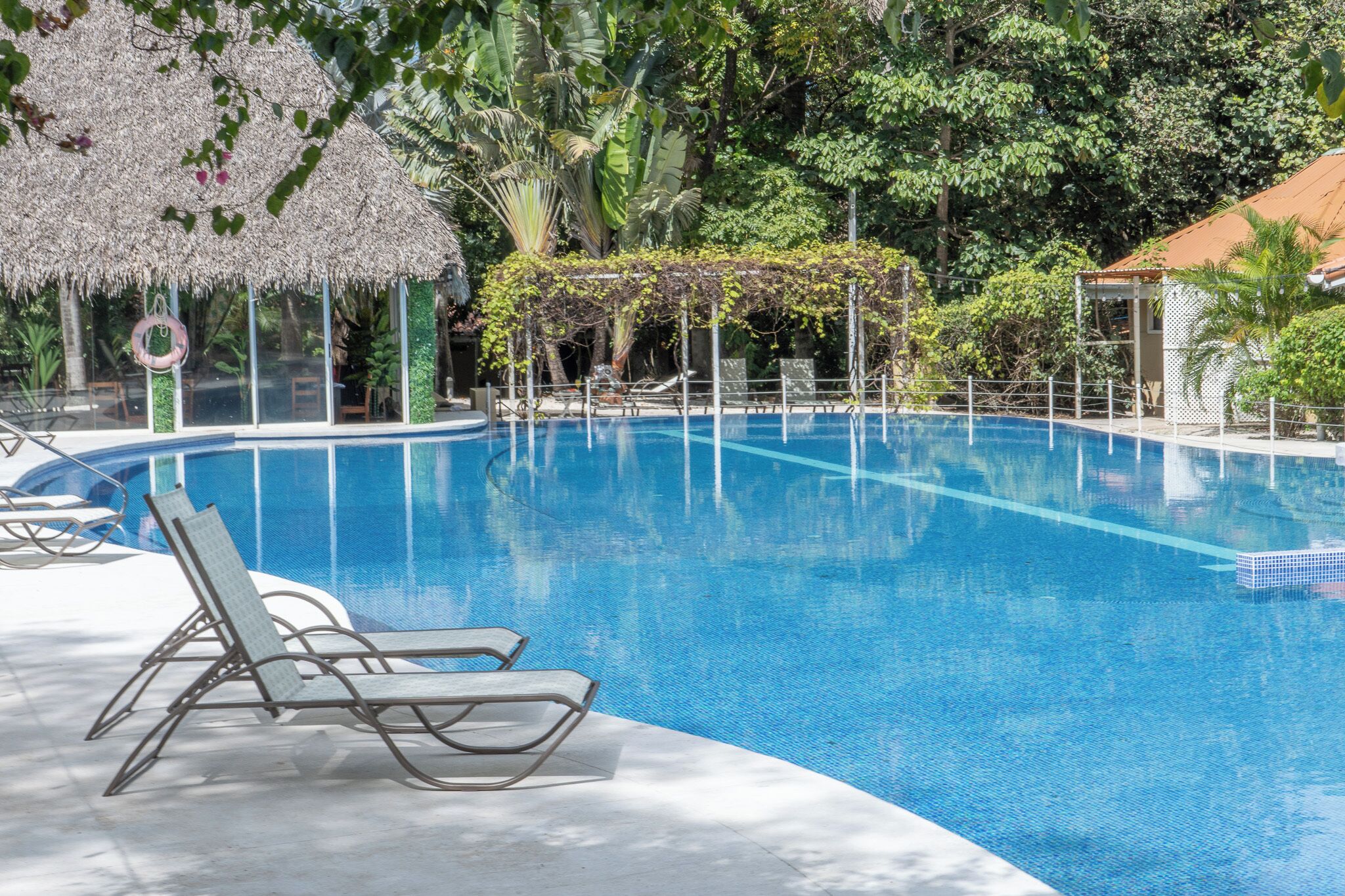 A clear blue swimming pool with lounge chairs, a thatched-roof structure, and lush greenery.
