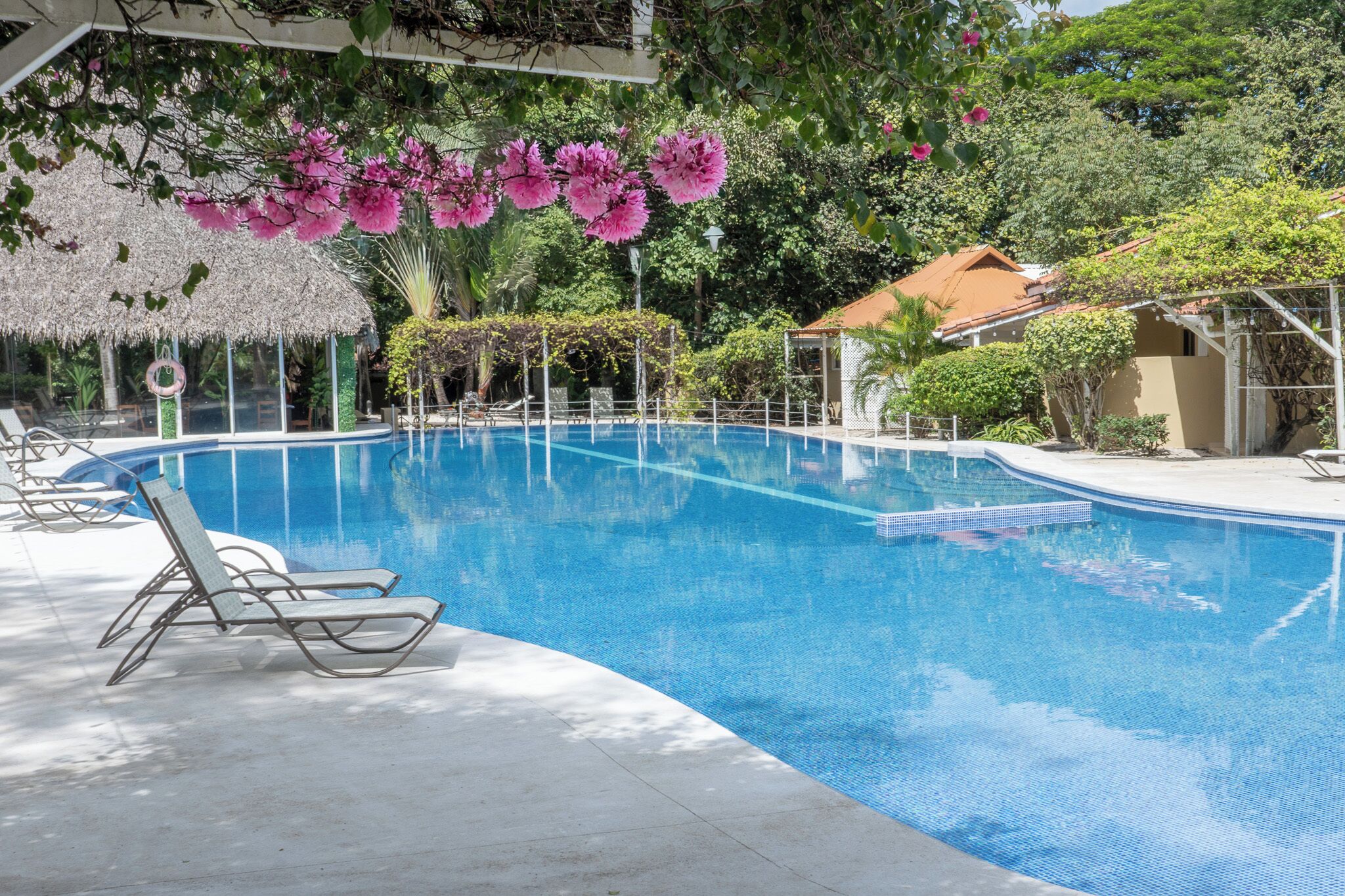 إطلالة الغرفة