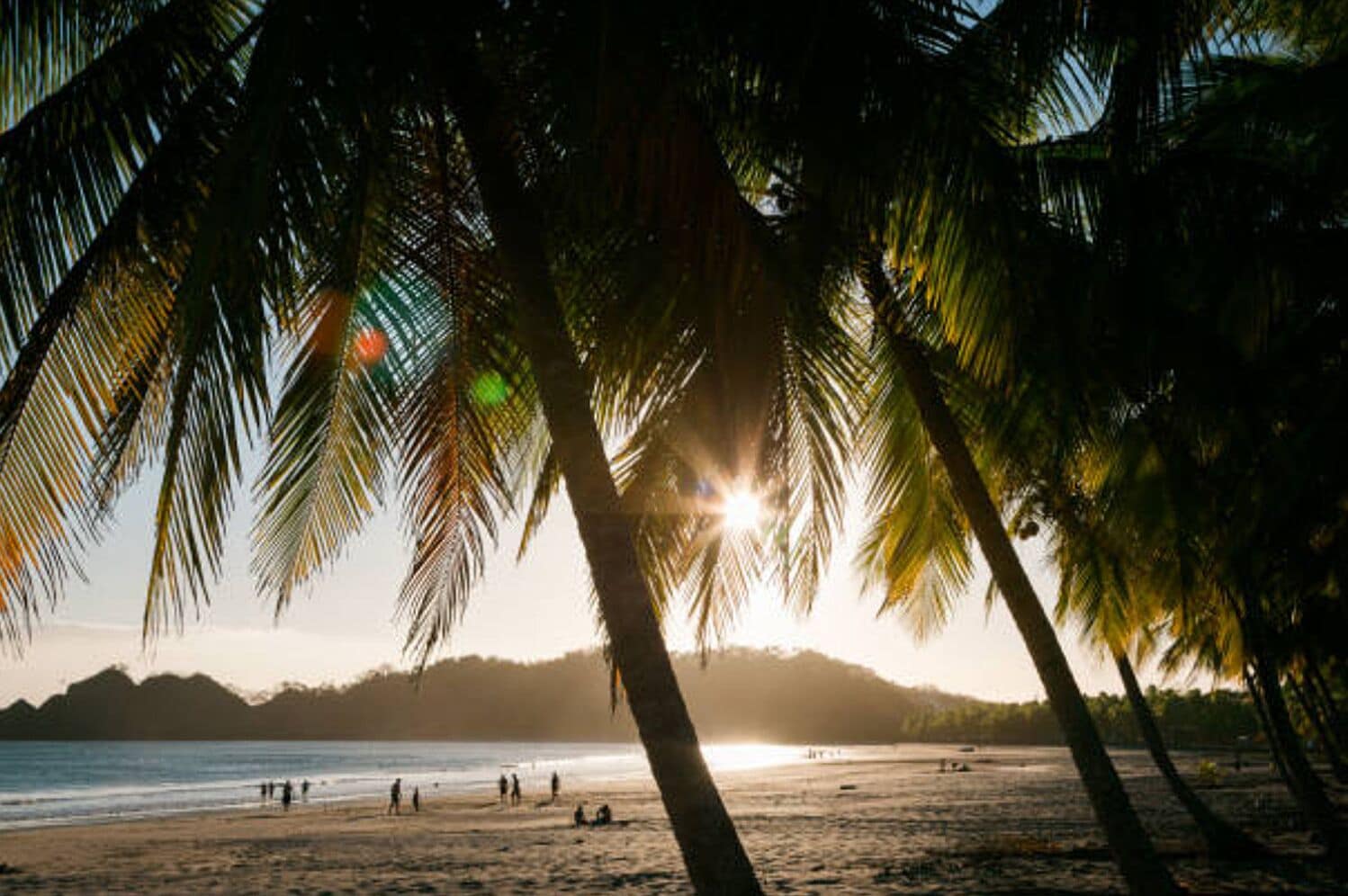 beach nearby, white sand, beach shuttle, beach towels