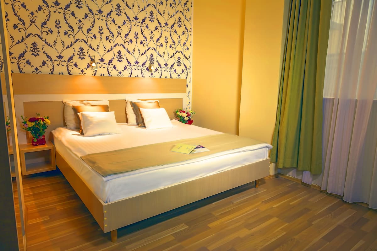 Minibar, desk, iron/ironing board, free WiFi