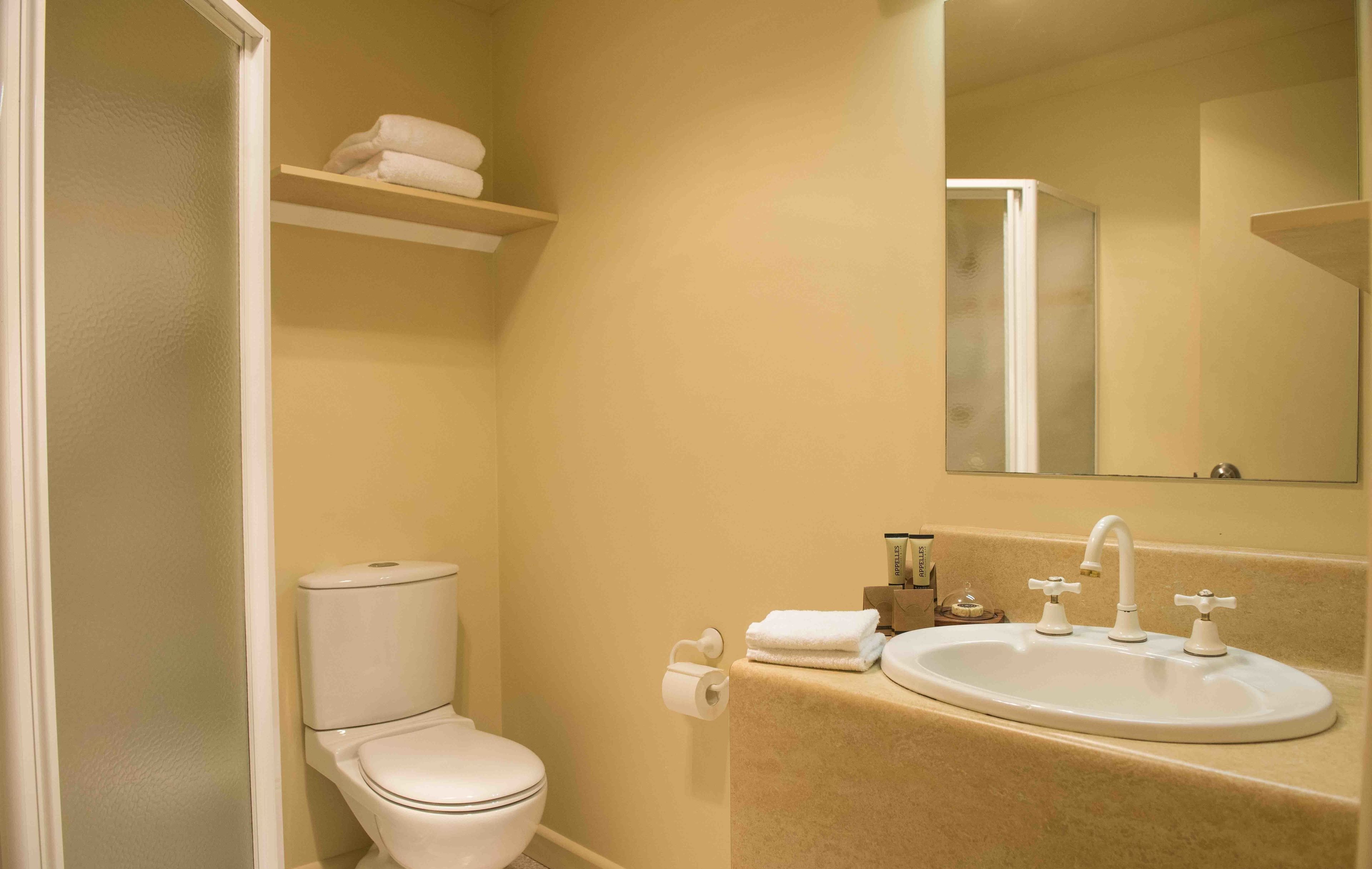 A bathroom with a toilet, sink, and mirror.