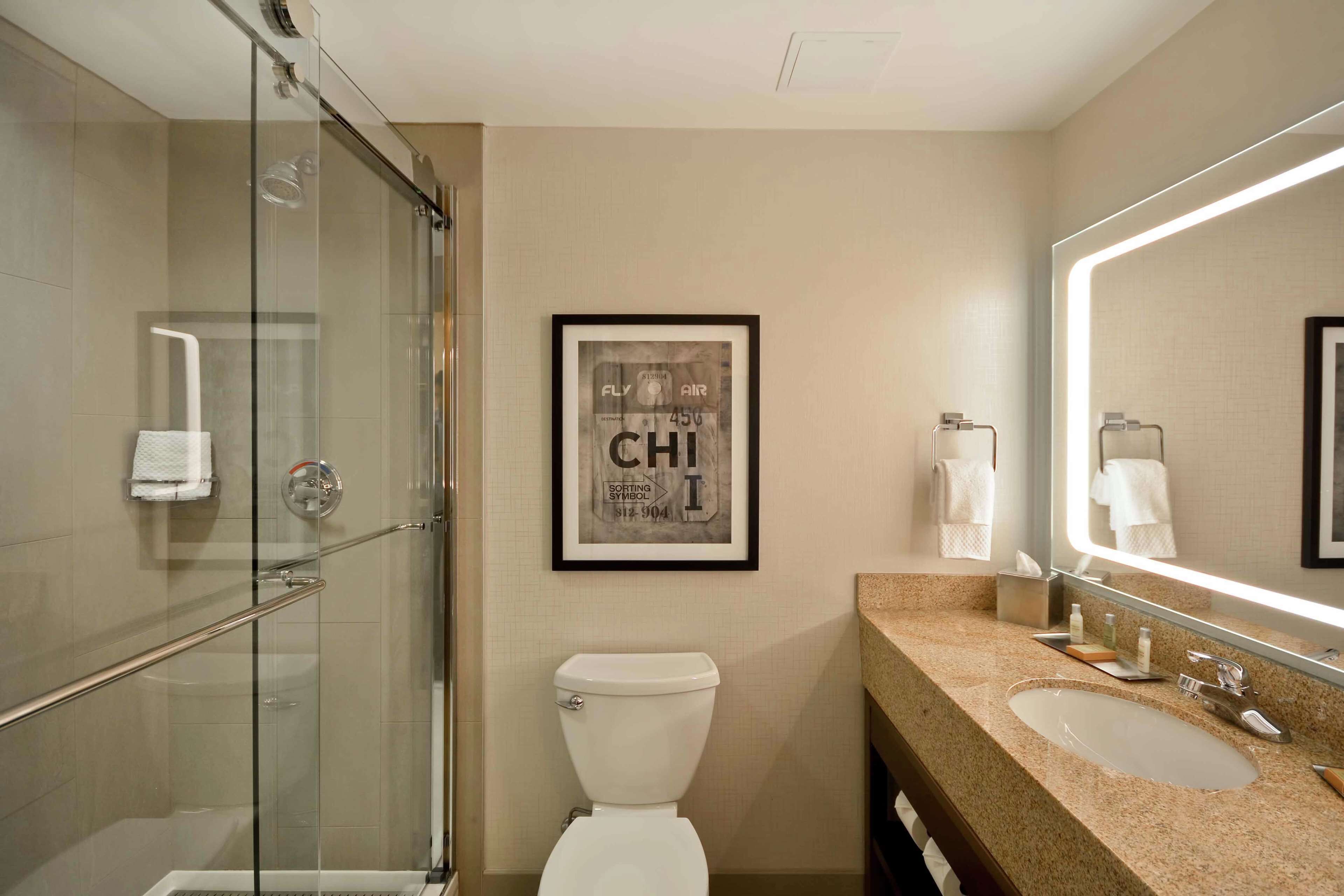 A modern bathroom with a glass shower enclosure, a toilet, a sink with a mirror, and a framed picture on the wall.