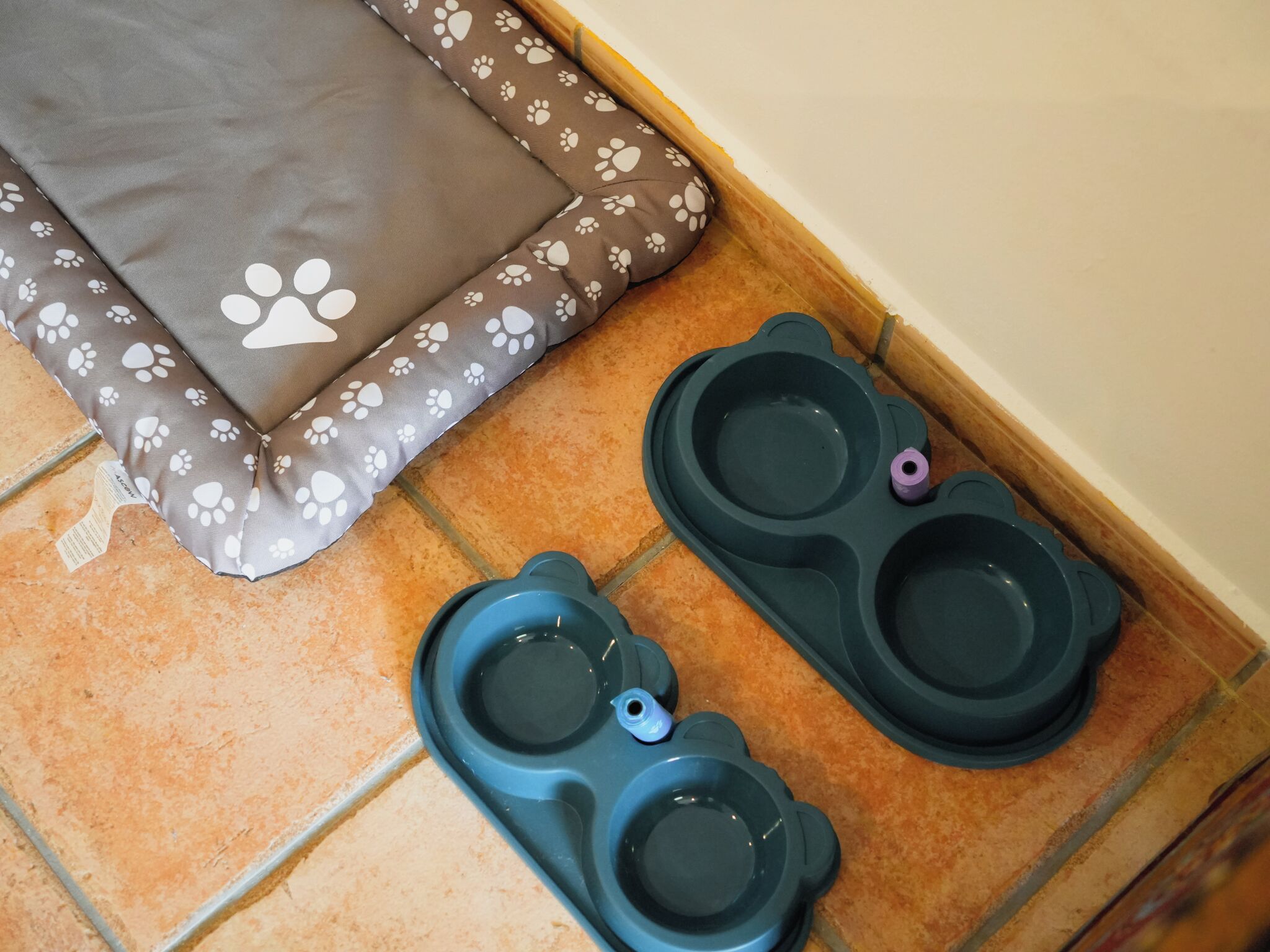 pet-friendly amenities