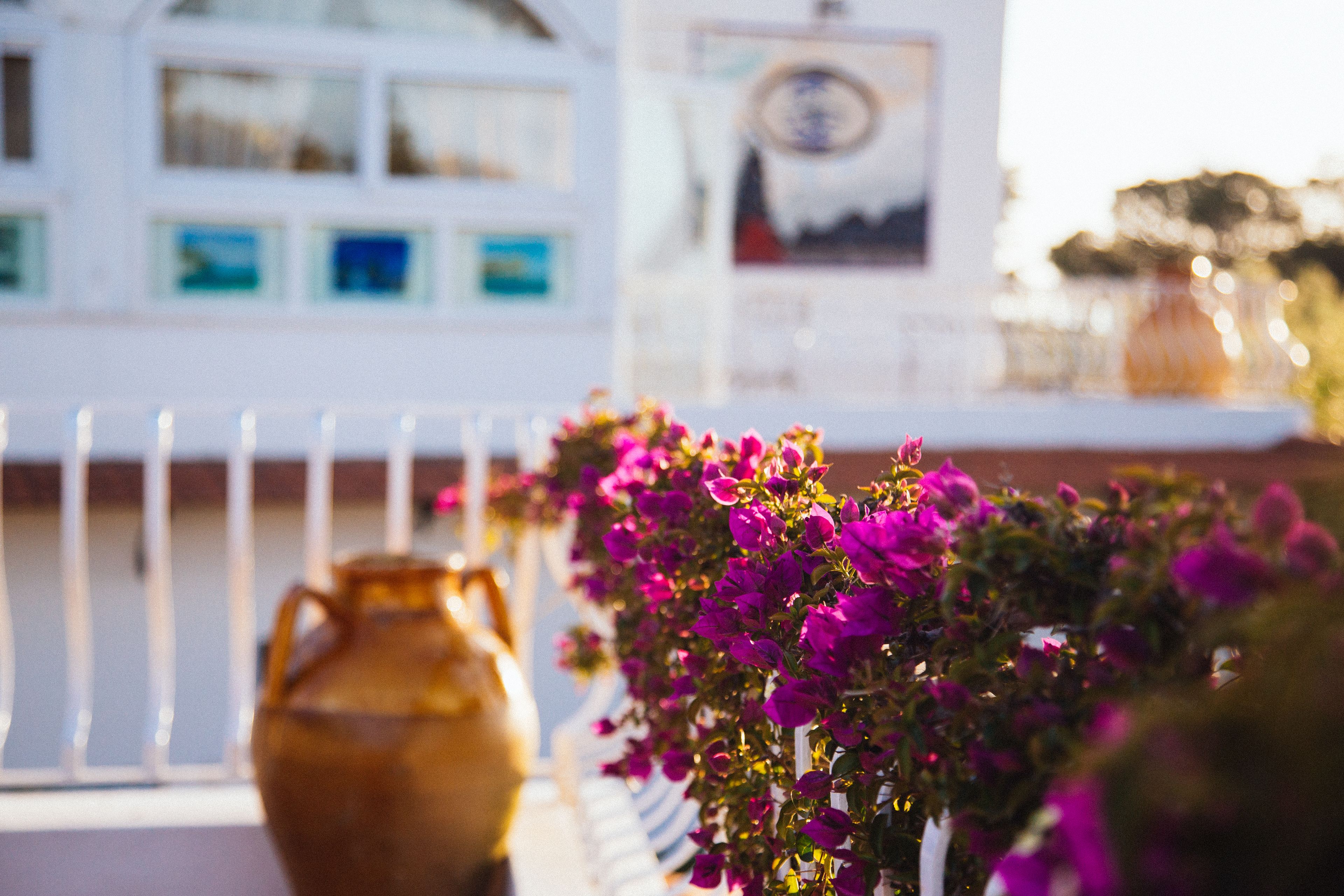 Foto - Il Giardino dell'Arte