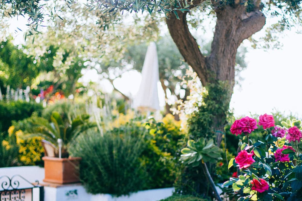 IL Giardino Dell'Arte - Guest House