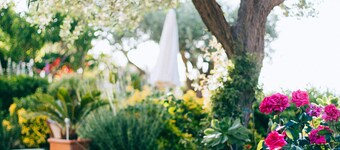 IL Giardino Dell'Arte - Guest House