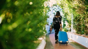 A person walking a blue suitcase on a brick pathway surrounded by greenery.