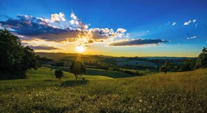 A landscape with rolling hills, a sunset, and scattered trees.