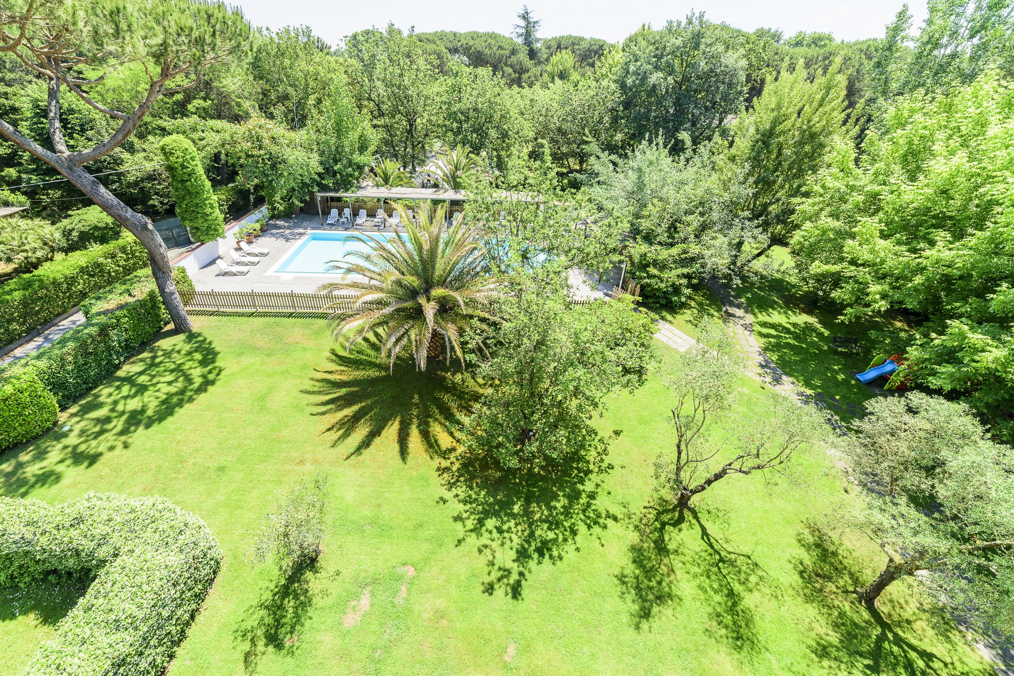 Une vue aérienne d’un paysage verdoyant et luxuriant, avec une piscine, des chaises longues et un palmier.