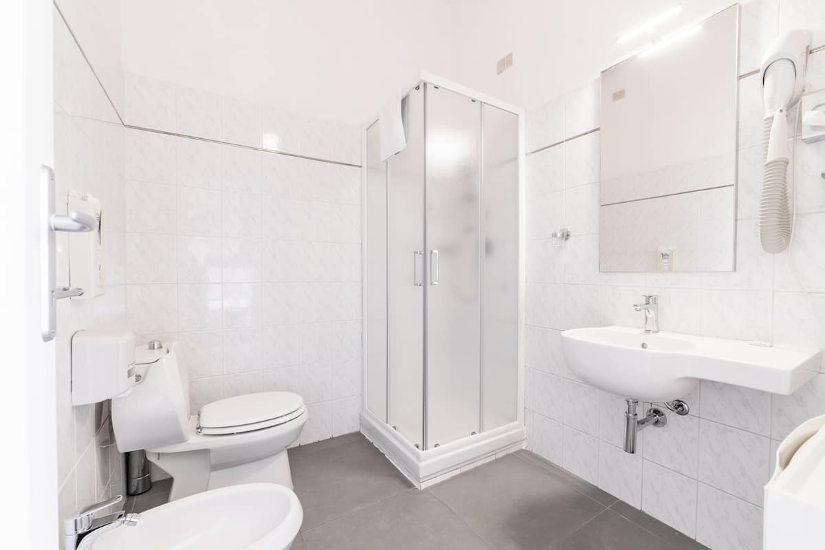 shower, free toiletries, hair dryer, bidet