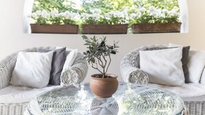 Un sofá de mimbre con cojines, una mesa de vidrio con una planta en maceta y una ventana que da a zonas verdes.