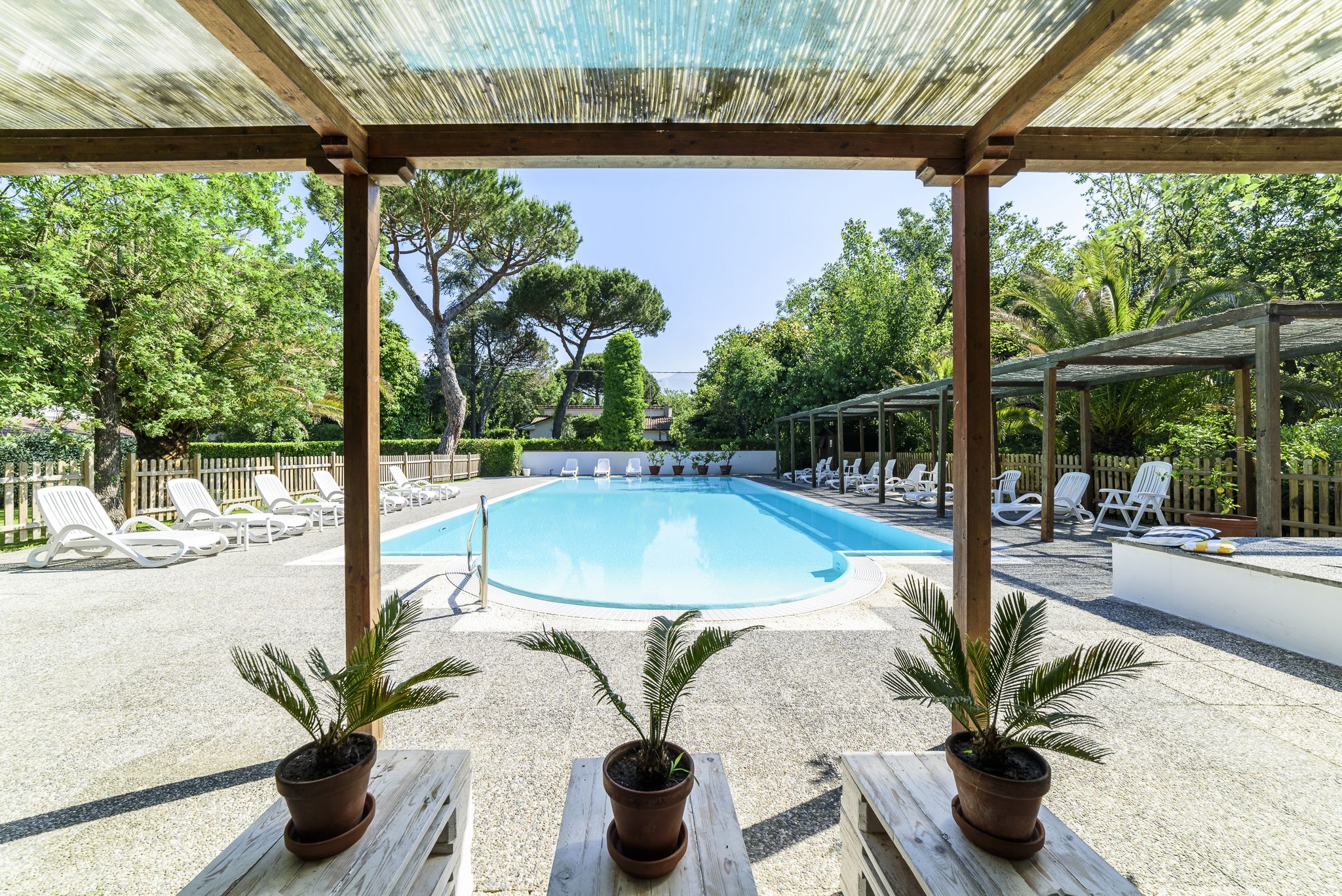 A pool area with lounge chairs and potted plants.