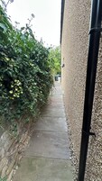 Un sendero de concreto estrecho bordeado por follaje verde denso y una pared con textura.