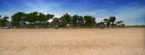 A sandy beach with several thatched-roof structures and blue lounge chairs. - Chariot Beach Resort (Tirukalukundram)