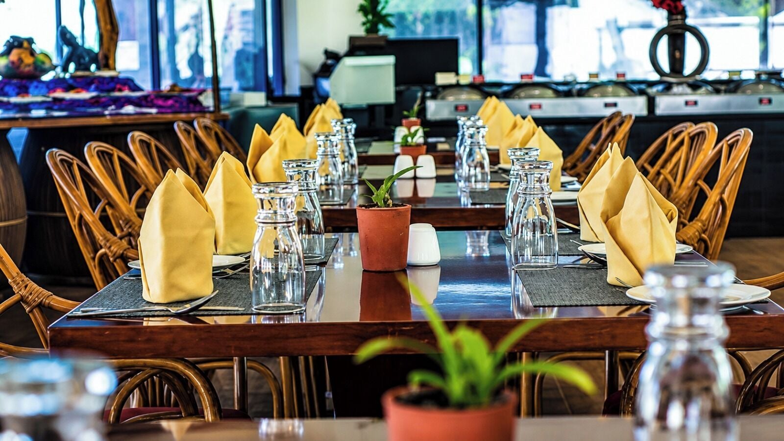 A restaurant table set with yellow napkins, clear glassware, and a potted plant.