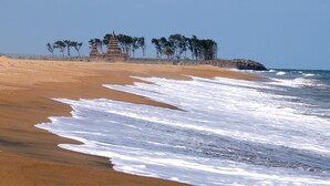 Une plage avec un temple et des palmiers.