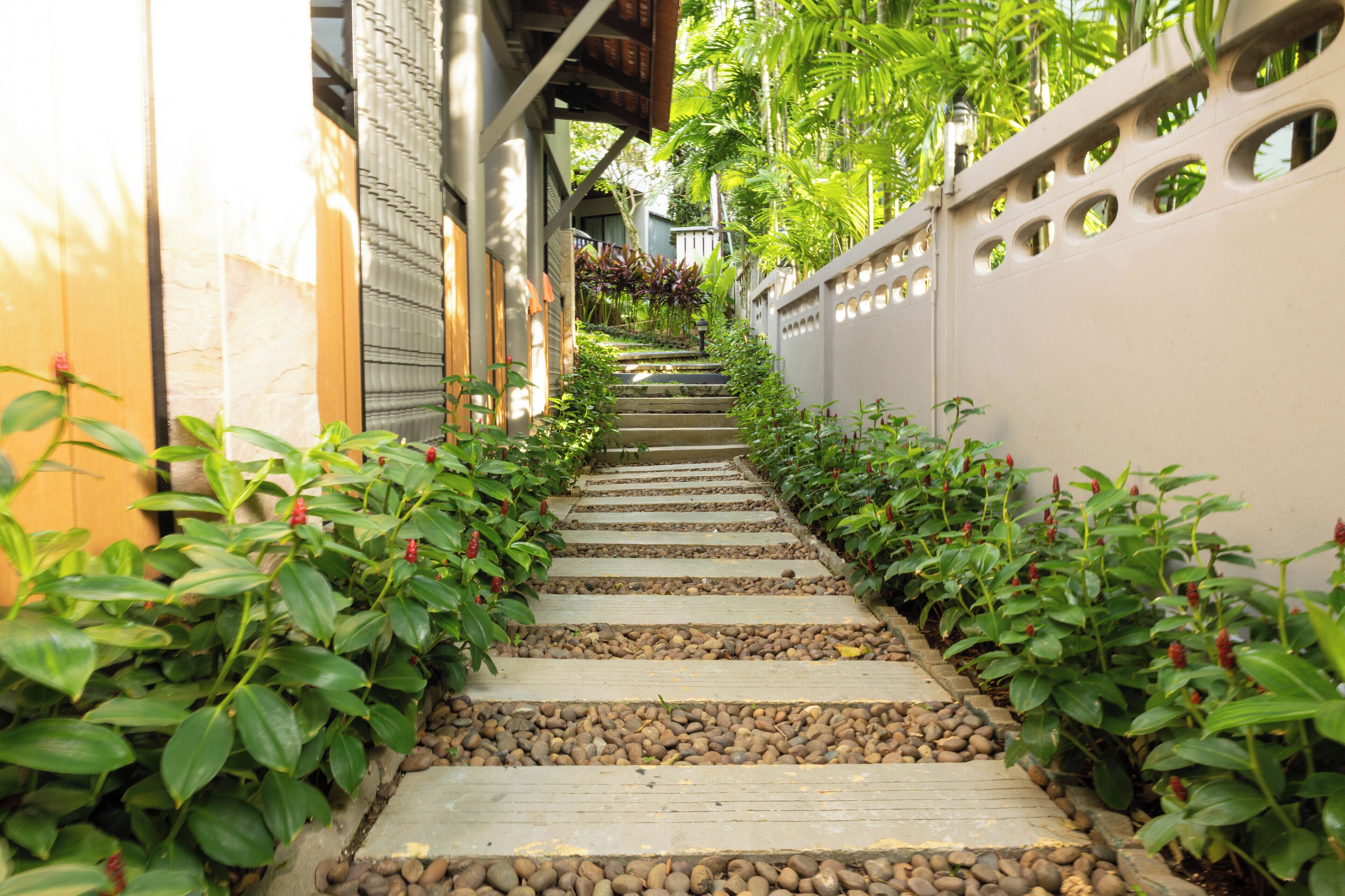 Photo - Andaman Cannacia Resort & Spa - SHA Extra Plus