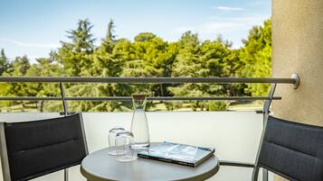 Room for 2+1 | View from room